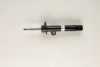 BMW 31316780079 Shock Absorber